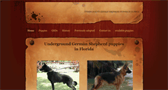 Desktop Screenshot of germanshepherdpuppiesinflorida.com
